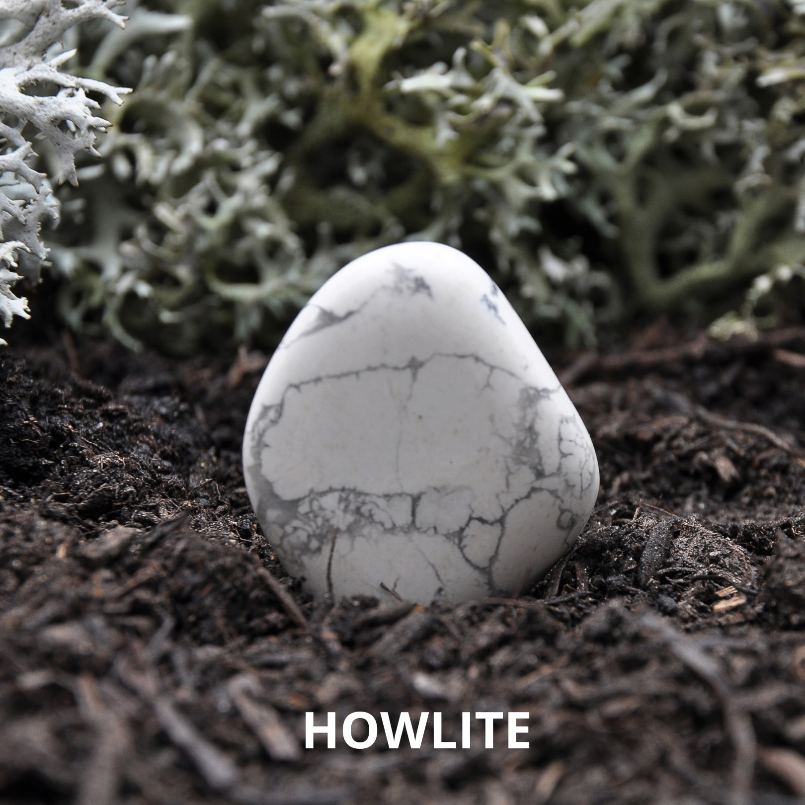 Can Howlite go in the Water? Is Howlite Water Safe Interesting Guide