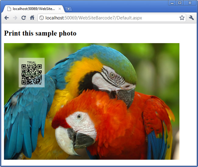 How to draw and print QR Code barcode on high quality photos or images