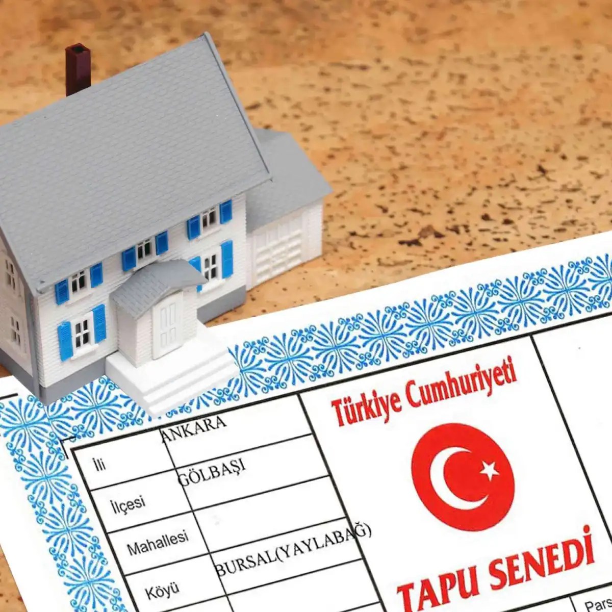 Tapu Nedir? Çeşitleri Nelerdir? Tapu Renklerinin Anlamı