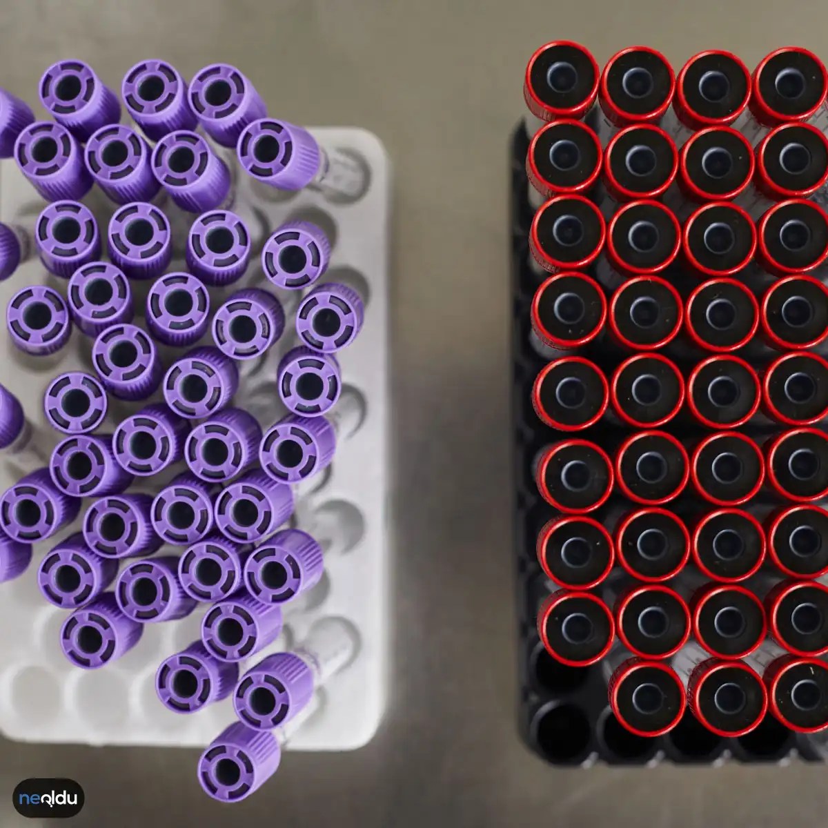 Hangi Kan Grupları Kanser Riski Taşıyor?