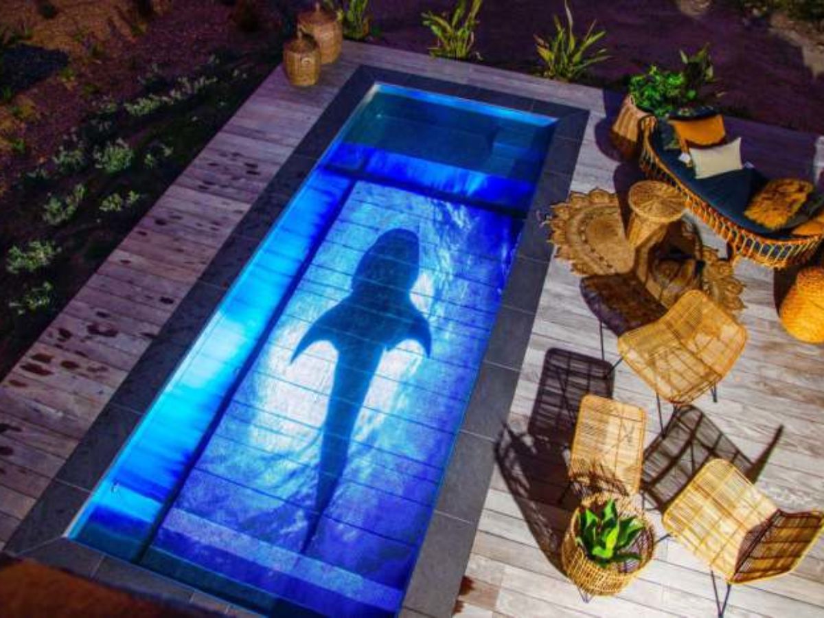 La société Pooloop transforme votre piscine en écran géant ! - NeozOne