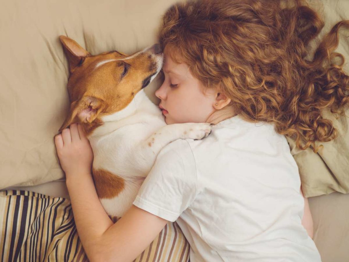On vous donne 5 bonnes raisons de laisser votre chien dormir auprès de vous  ! - NeozOne