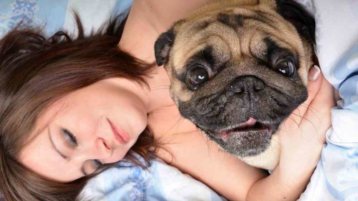 D’après une étude américaine, une femme dort mieux avec un chien qu’avec un  homme - NeozOne