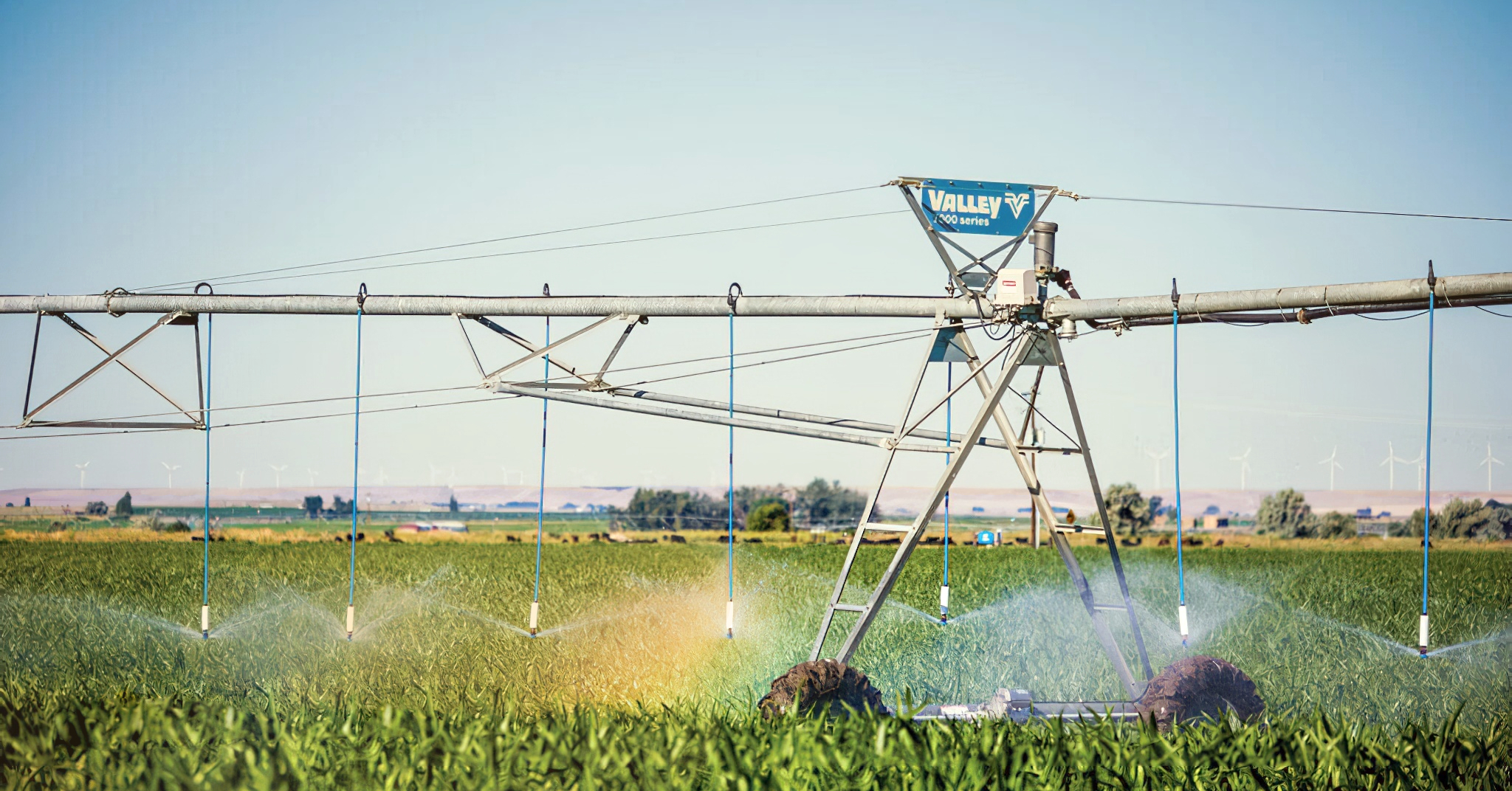 Nephi Irrigation Company