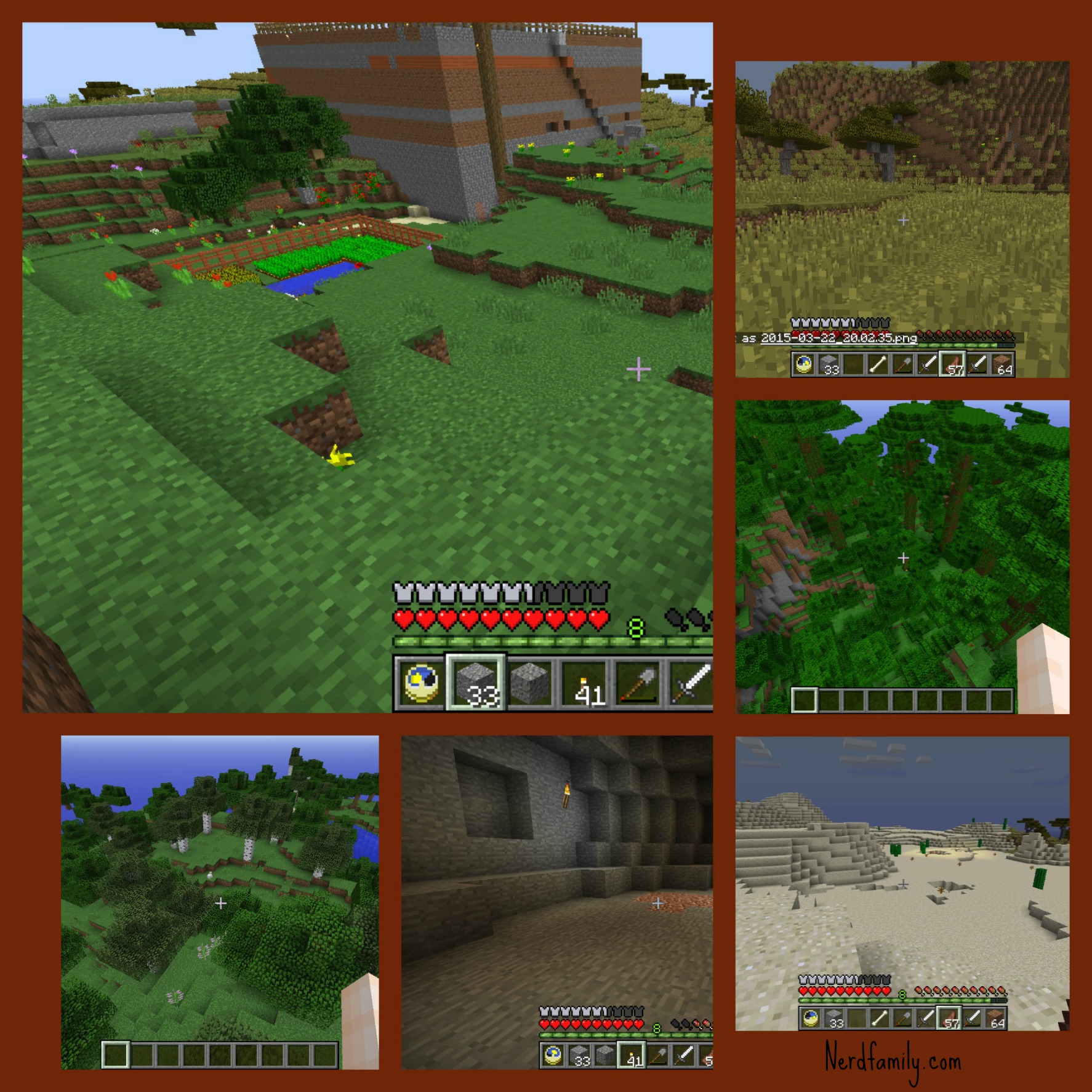 Minecraft Biomes Nerd Family