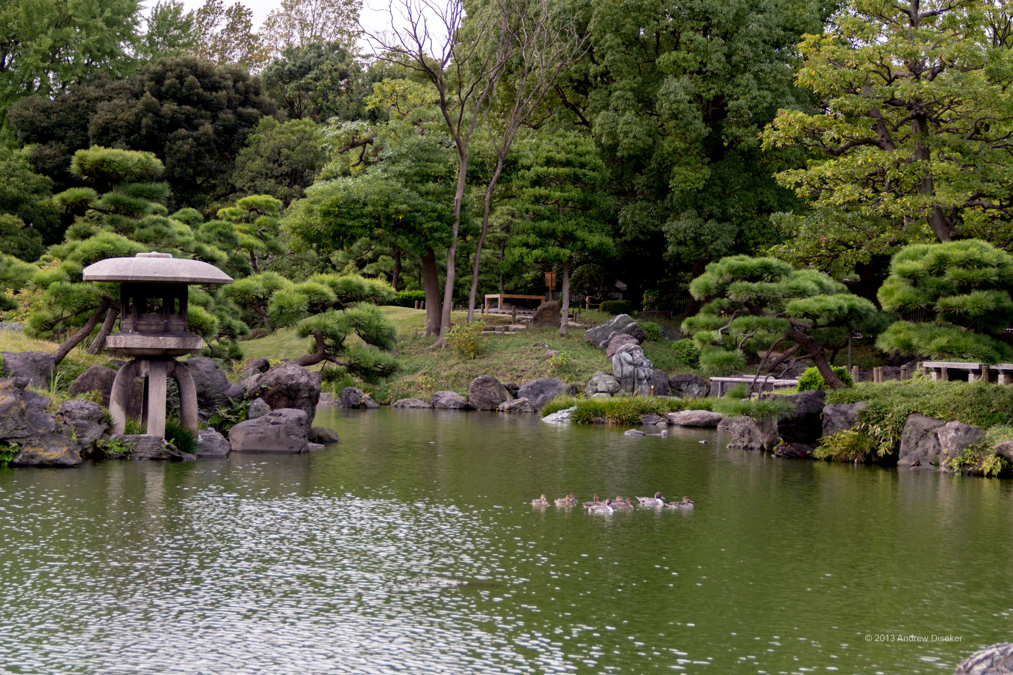 Kiyosumi Garden Nerdwatch!