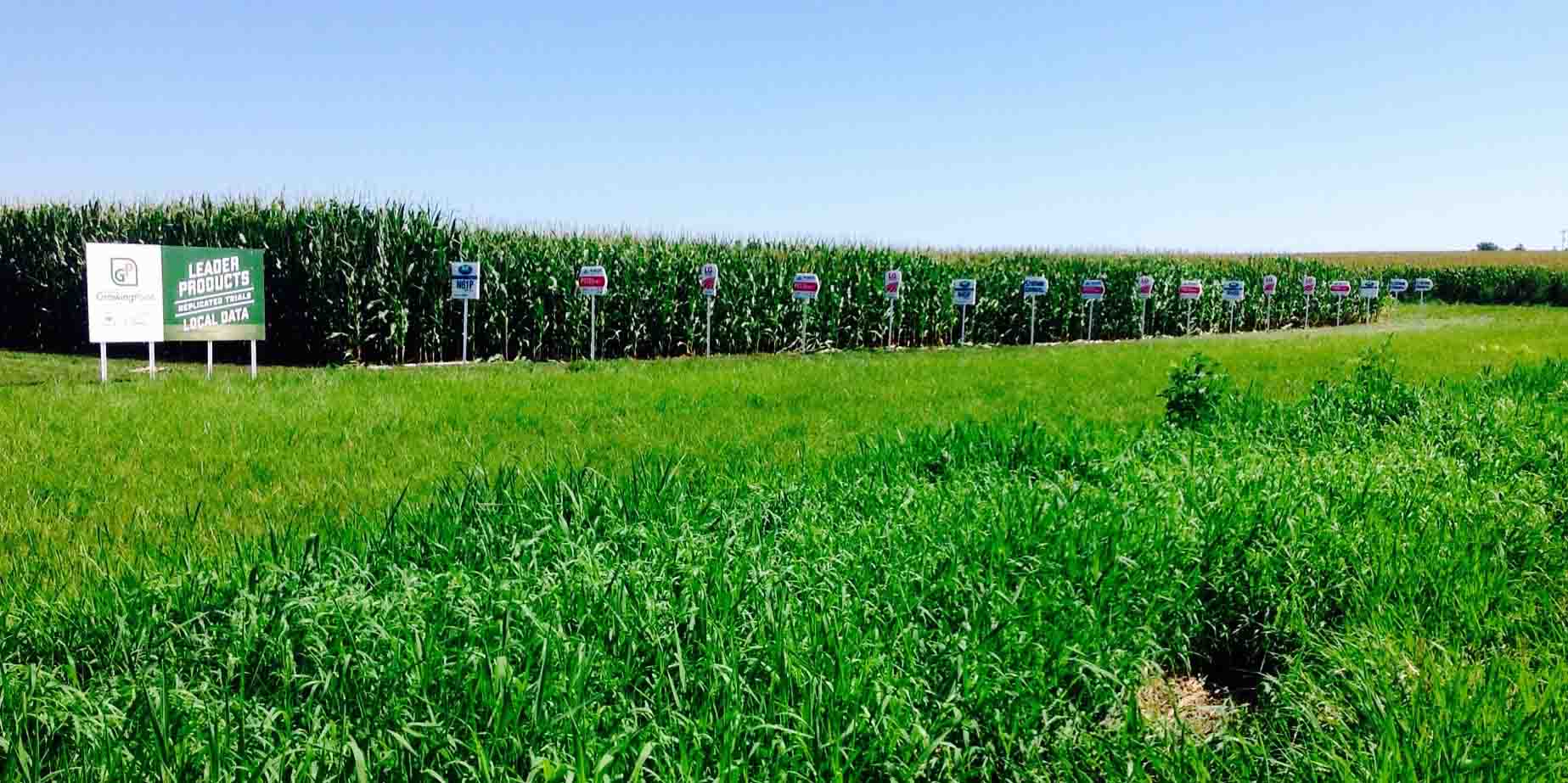 Agronomy Nerstrand Agri Center