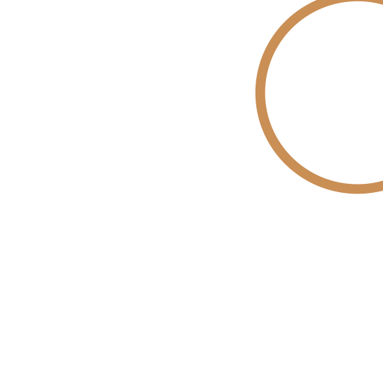 Partners Nesbit Systems