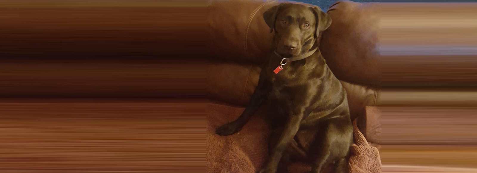 Auto Repair, Elgin IL Nesbitt Auto