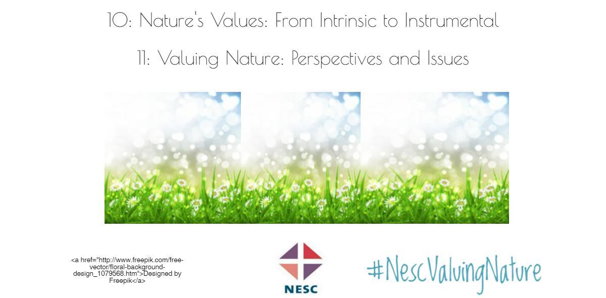 NESC publishes research series Nature’s Values From