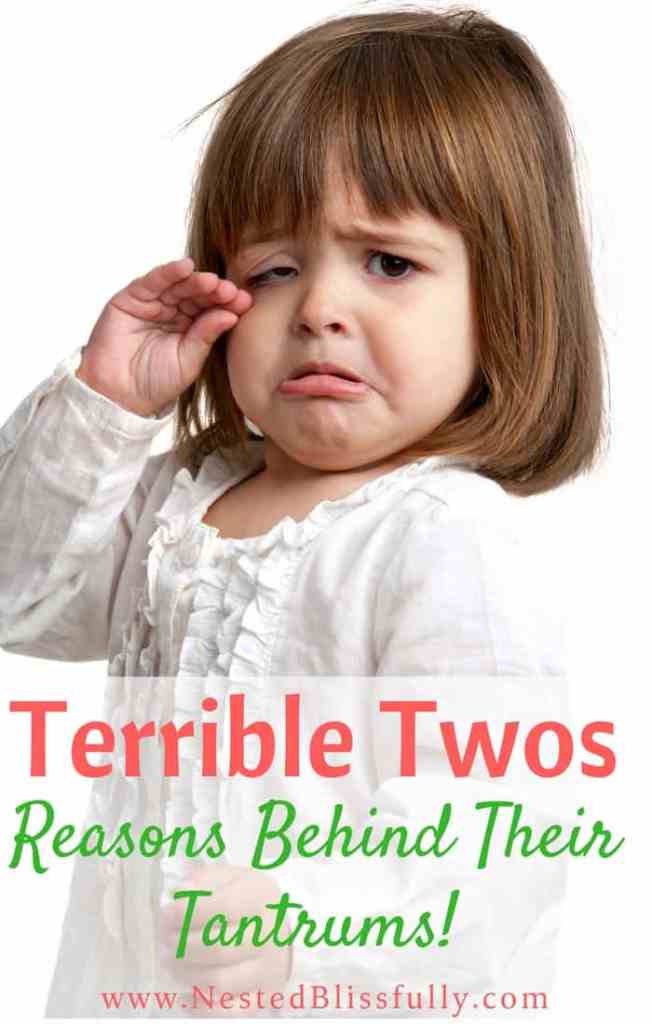 Terrible Twos or Tough Twos? 3 Reasons for their Terrible Behavior
