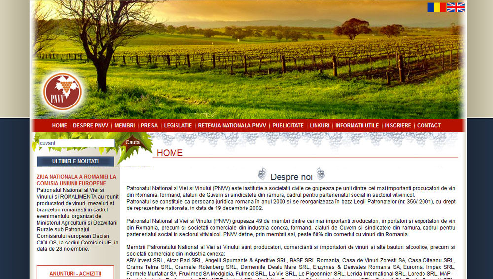 Pnvv Ro Netdesigner Ro Portfolio