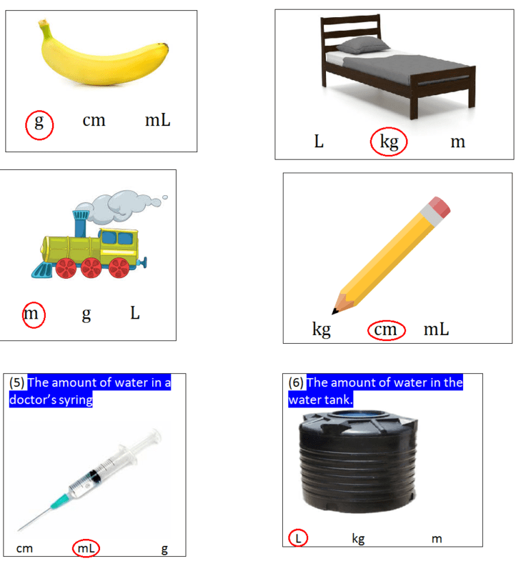 S. K. Gupta Anubhuti Gangal Class 2 Math Eighth Chapter Measurement