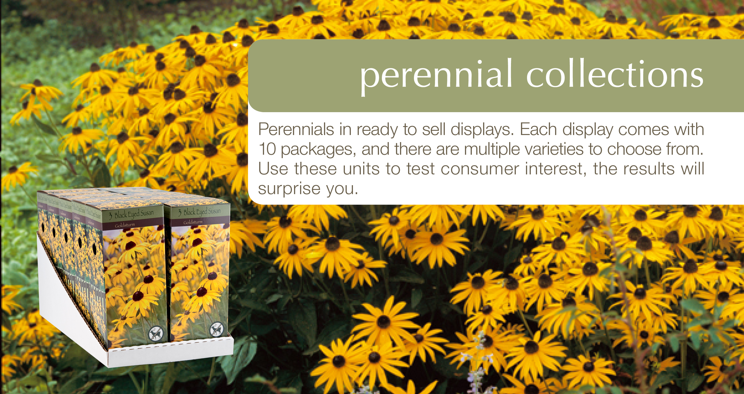 Netherland Bulb Company