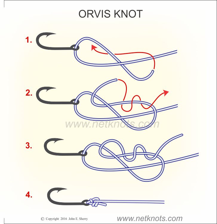 Orvis Knot How to tie the Orvis Knot Fishing Knots