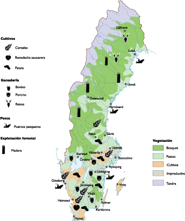 Sweden Maps . Sweden Land Use Map Vector World Maps