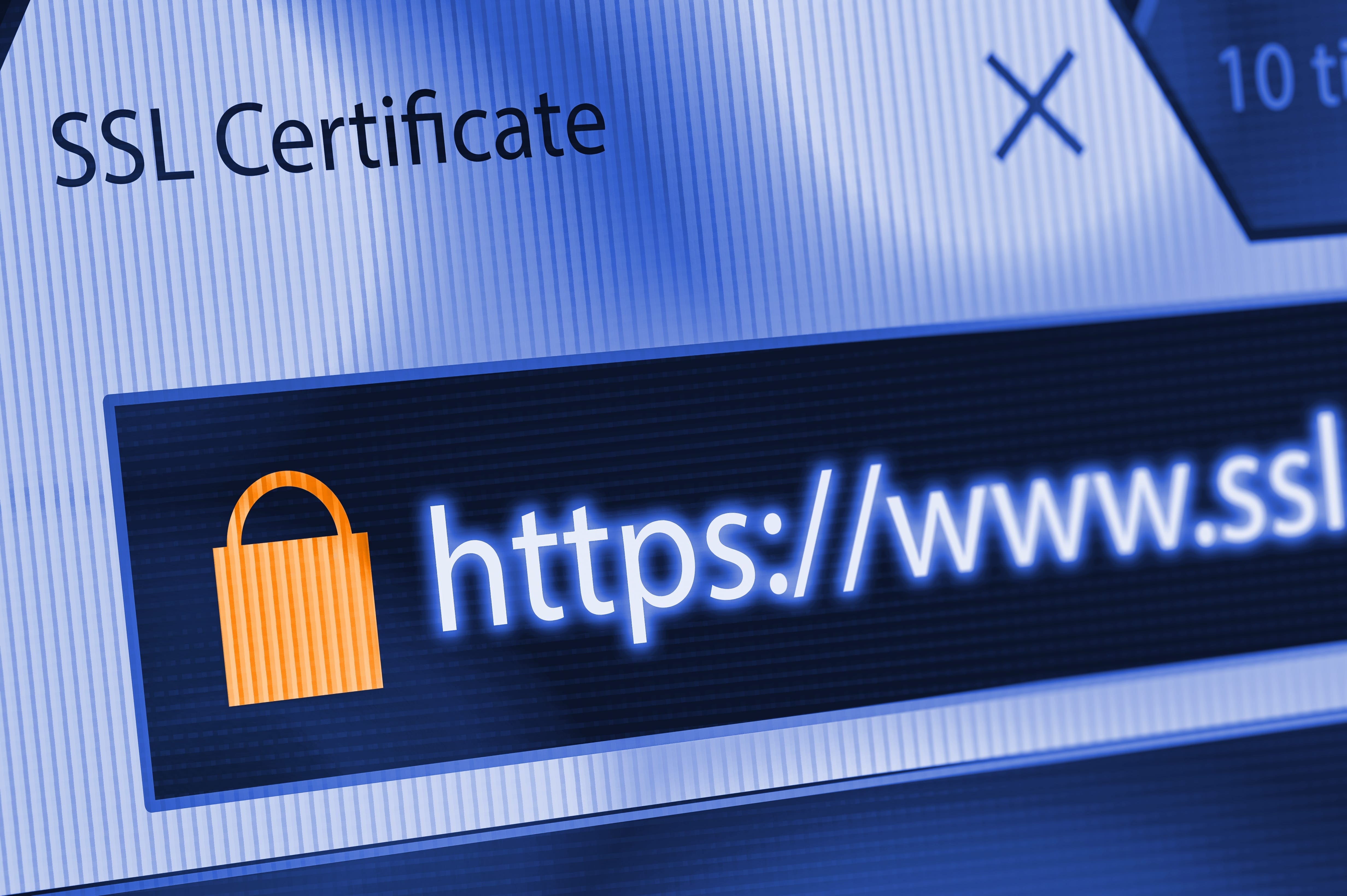 HTTPS You Need To Ensure Your site is Secure NetMechanic
