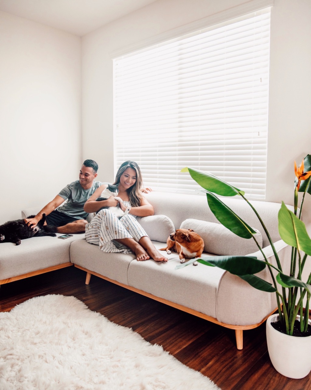 Meet Valyou Furniture, Ikea’s New Competition NetNewsLedger