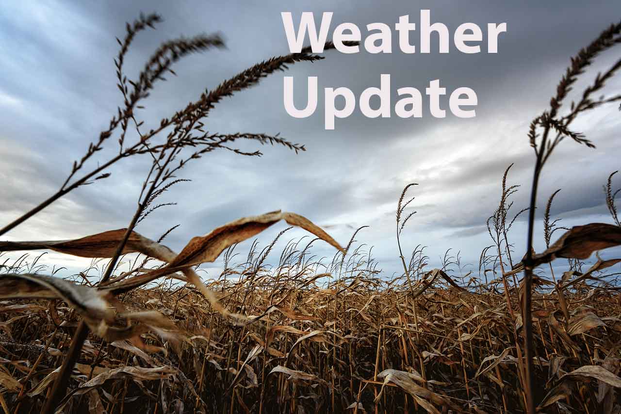 Dryden and Vermilion Bay October 8, 9, and 10, 2024 Weather Outlook