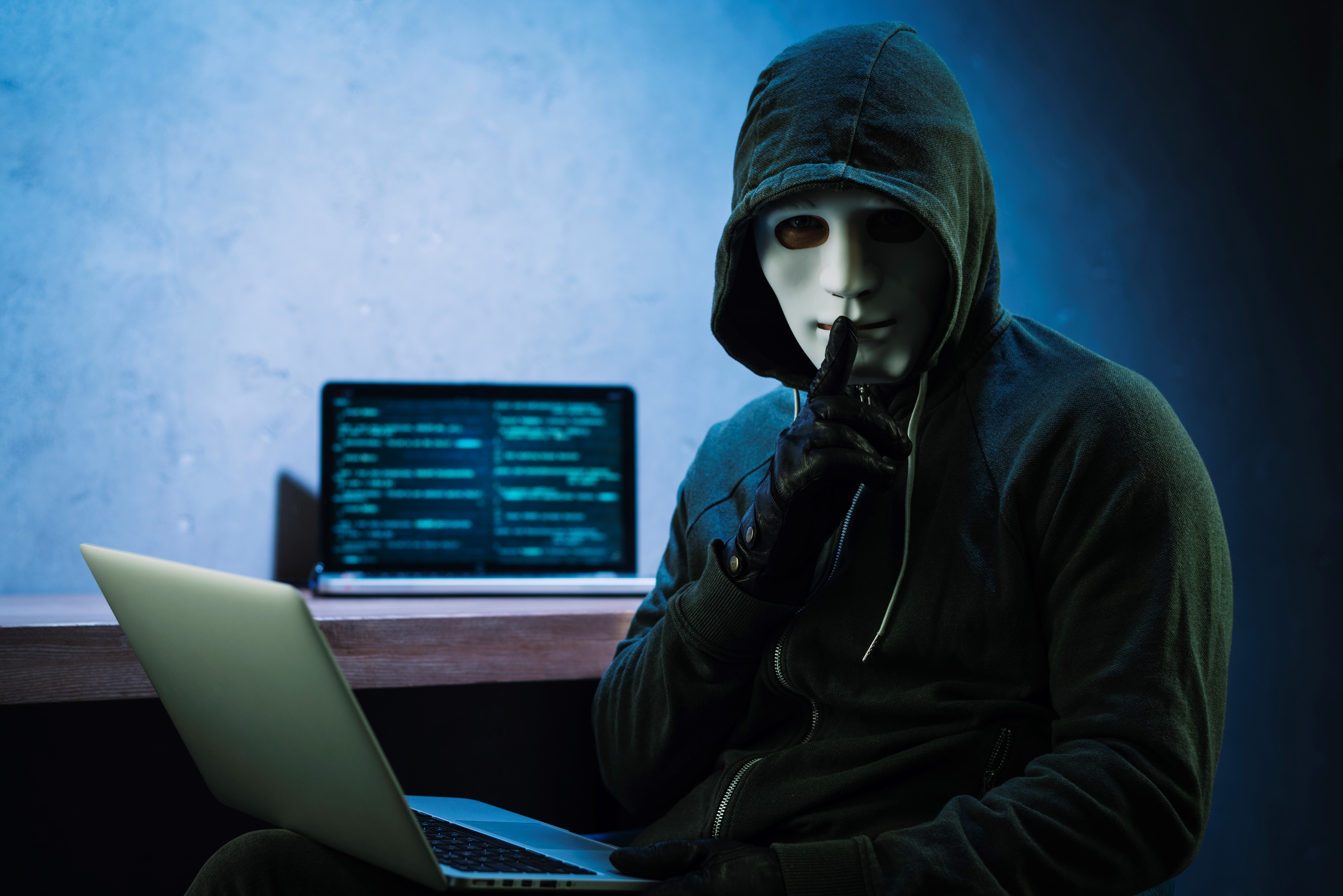Netpluz Blog Boost your Cyber Security resillience with VAPT
