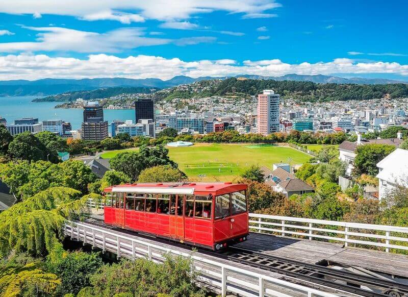 NETWORK Work & Study Nueva Zelanda