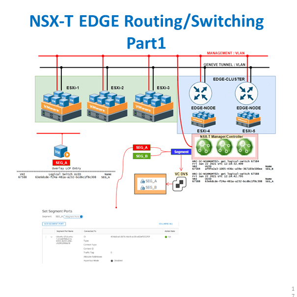 NSXT Series Part 14 NSXT Segment without IP