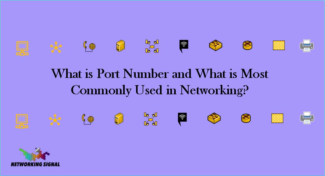 What Is Port Number And What Is Most Commonly Used In Networking?