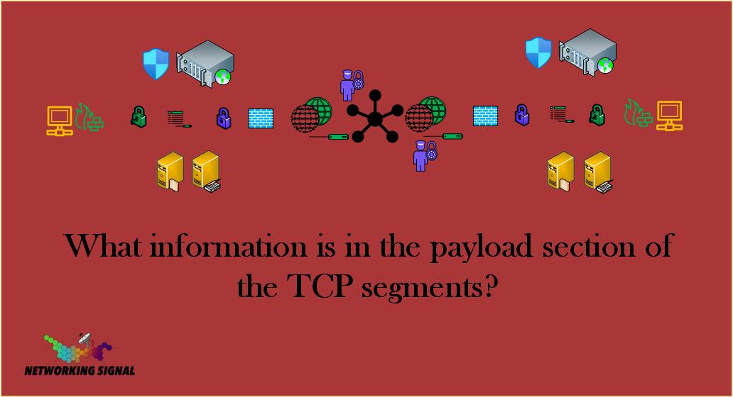 What Information Is In The Payload Section Of The TCP Segments?