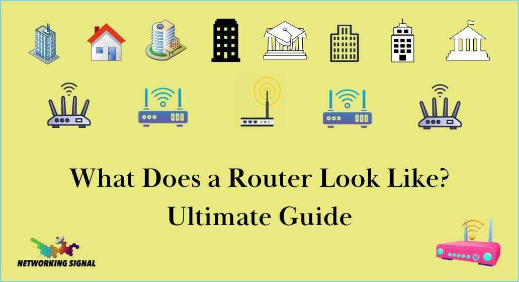 What Does A Router Look Like? Ultimate Guide