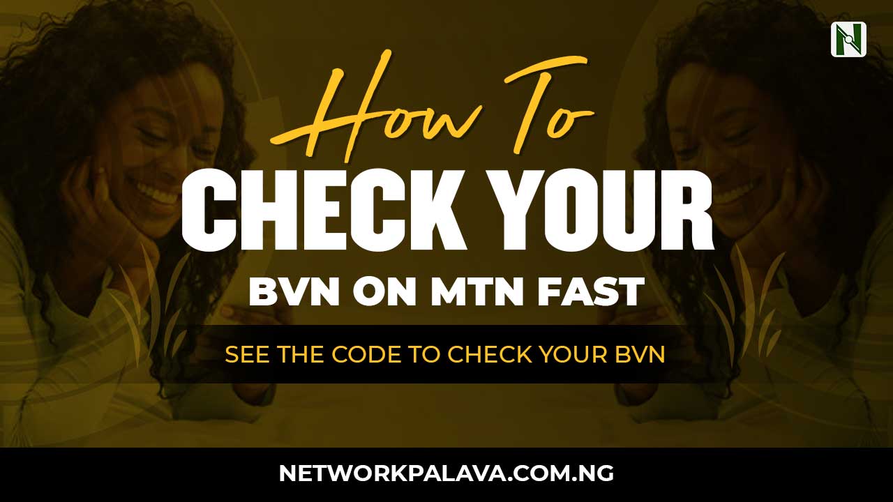 Code To Check BVN On MTN 2024 • Network Palava