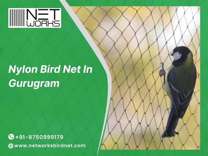 Nylon Bird Net Installation In Gurugram Networks Bird Net