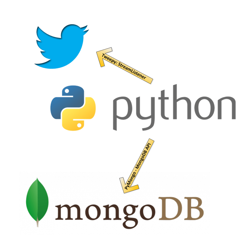 Collect Twitter Data with Python and store in MongoDB NetworkX