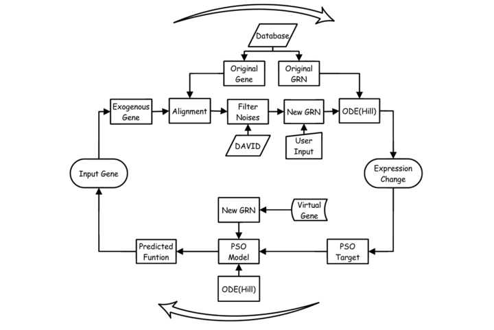 Algorithm