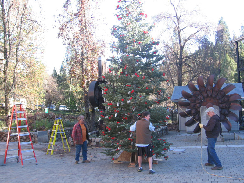 Chamber Puts Up Christmas Tree Nevada City California