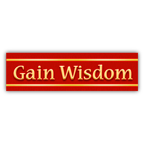 Gain Wisdom Small Bumper Sticker 407 Root Concepts