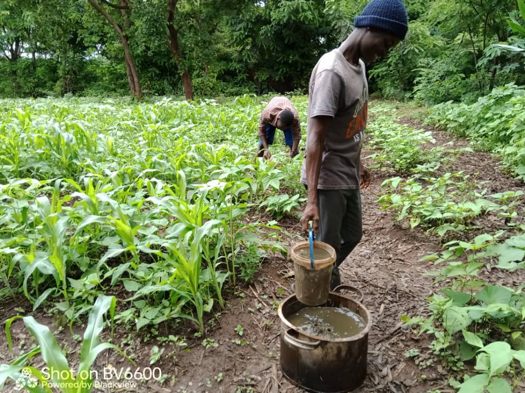 Liquid Manure Never Ending Food