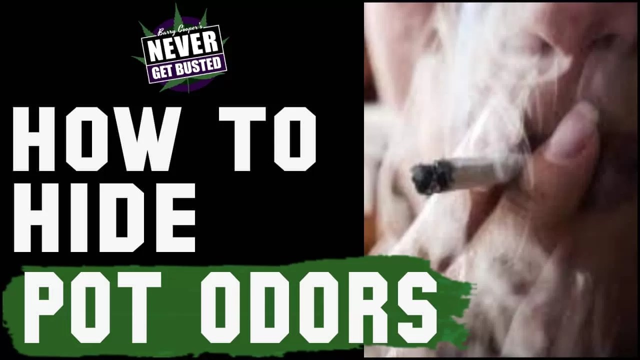 Weed Smell Ex Cop Teaches You How To Hide Marijuana Odors