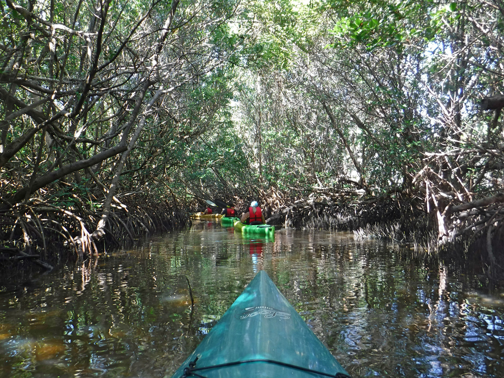 Reisebericht Sanibel Island und Captiva Island in Florida, USA