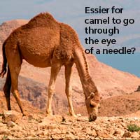 Catholics Explain How An Actual Camel Can Go Through A Needle's Eye. - Catholic Fundamentalism Should The Word Camel In Matthew 19:24 Be Thick Rope?
