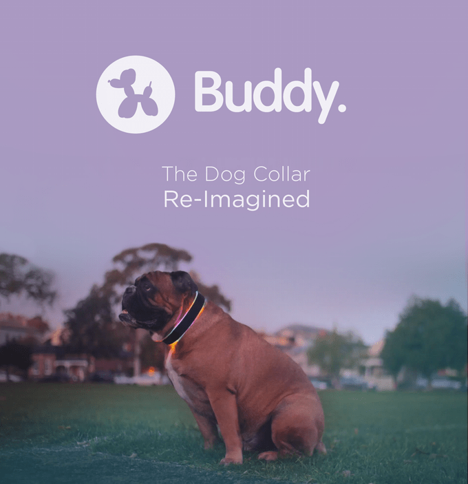 LED Dog Collar With GPS And Bluetooth Technology New Startups
