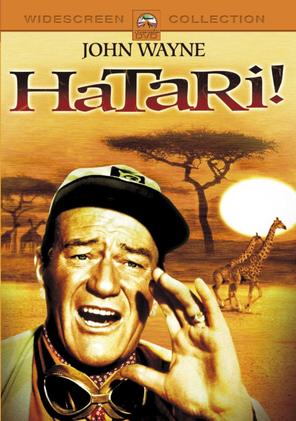 Hatari Film