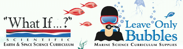 Sea Turtle Dichotomous Key Kit Educational Innovations, Inc.