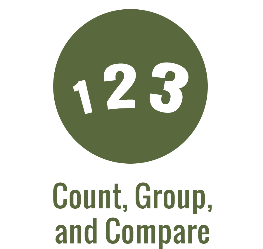 Newburgh Basics Newburgh Enlarged City School District