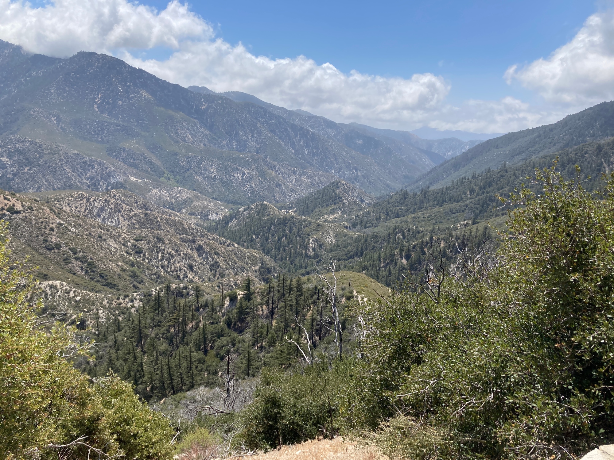 Ranch La Canada Flintridge, California