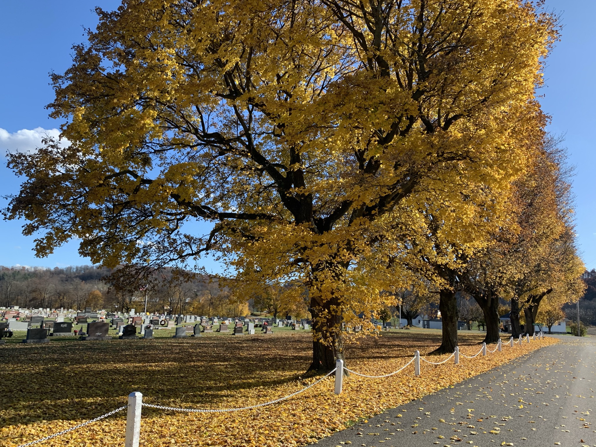 to the Official website of the Village of Ohio