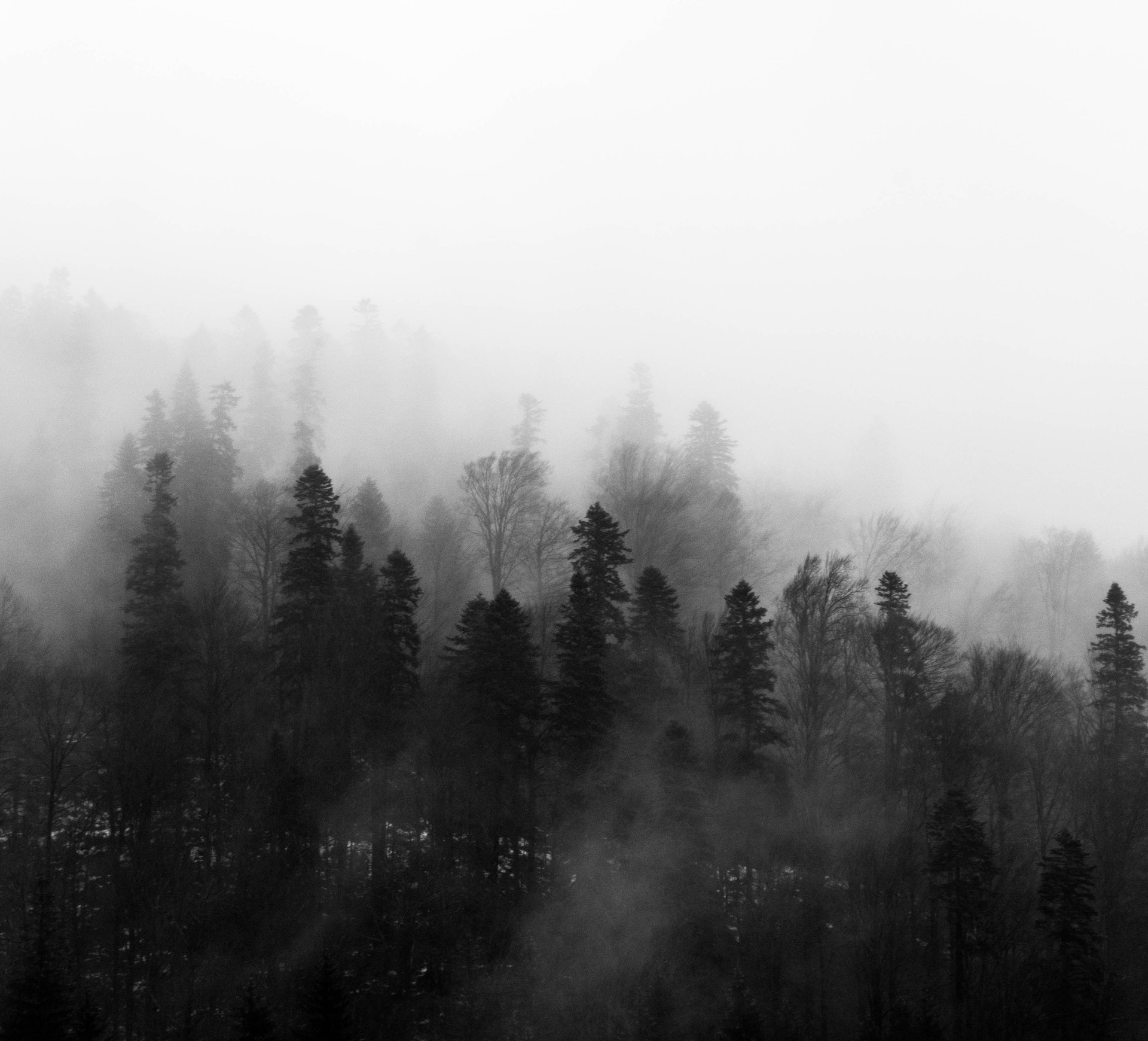 to the Official website of the Village of Ohio