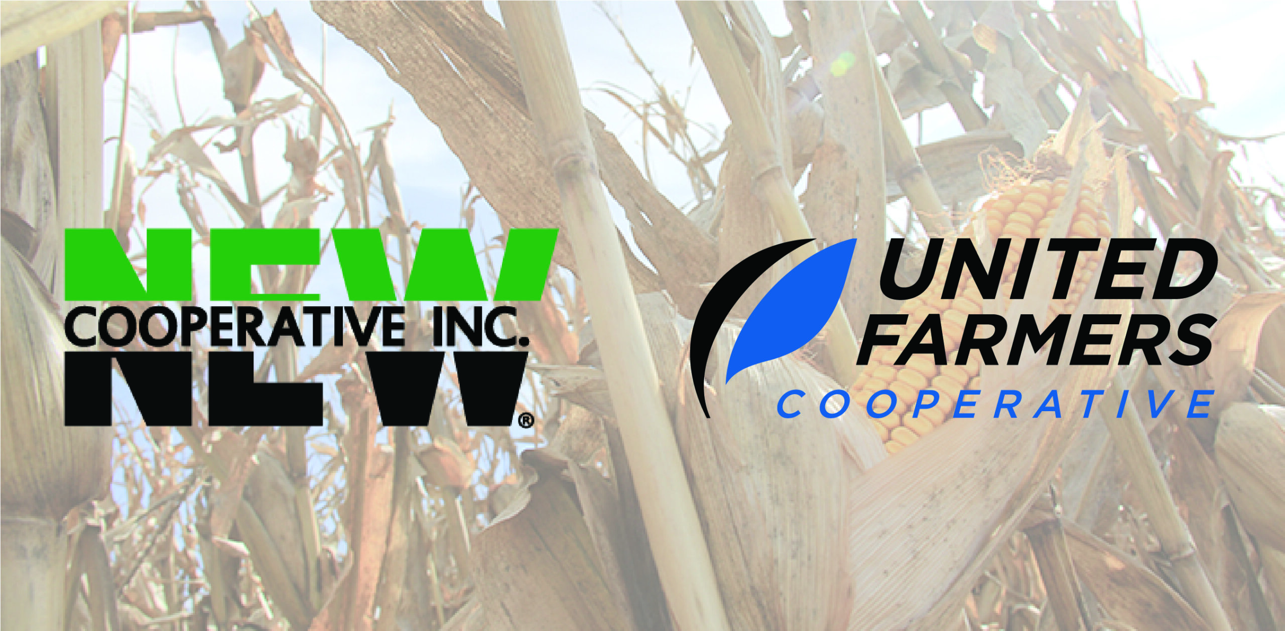 Board of Directors of NEW Cooperative Announce A Merger Study with