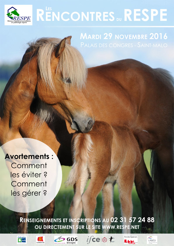 L’avortement chez la jument, faites le point avec les pros