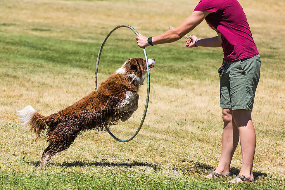 Animal Experience New Haven Residential Treatment Center