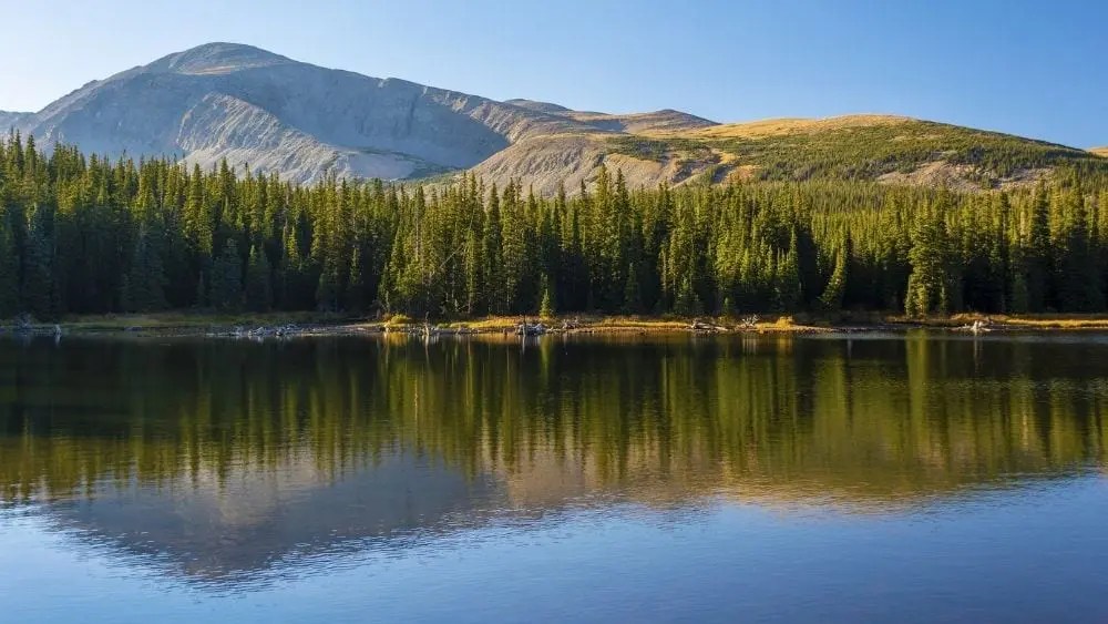 How to Build a House in Minnesota NewHomeSource